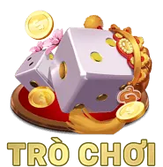 Chính Sách và Điều Khoản