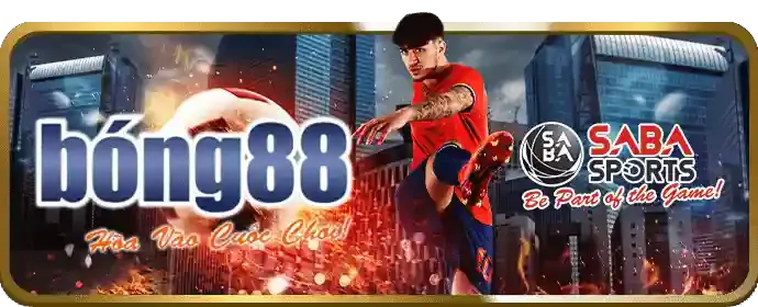 Công bằng và minh bạch King 33